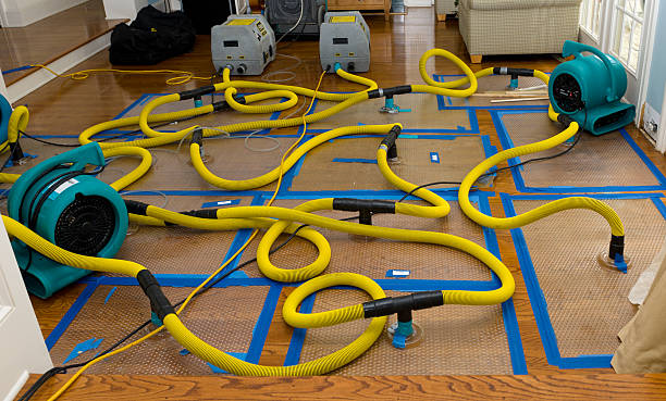 Professional Sewage Cleanup technician working in Marshallberg, NC